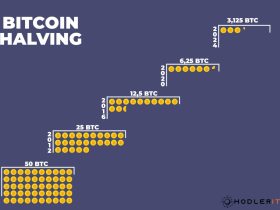 La riduzione delle ricompense dall'attività di mining di Bitcoin, nell'immagine si può vedere come le ricompense vengano dimezzate ogni 4 anni circa.